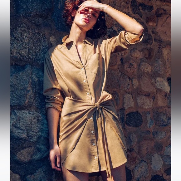 Veronica Beard Roanoke Shirtdress - Picture 3 of 3